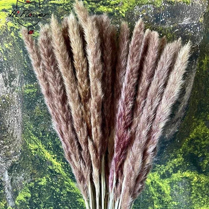 15pcs Pampas Grass Dried Flowers Bouquet Boho Home Vase Decoration Natural Phragmites Pampa Artifical Flower Wedding Party Decor