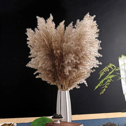 15pcs Pampas Grass Dried Flowers Bouquet Boho Home Vase Decoration Natural Phragmites Pampa Artifical Flower Wedding Party Decor