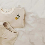 2Pcs Autumn Winter Baby Girl Boy Clothes Set Embroidery Thicken Fleece Warm Sweatshirt Pant Boy Tracksuit Toddler Clothes Outfit