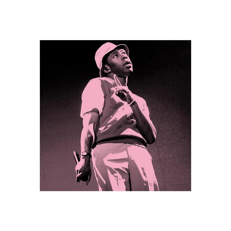 Minimalist Tyler The Creator Canvas Painting Posters Wall Art Print Pink Blue Rapper Pictures for Living Room Home Decor Cuadros