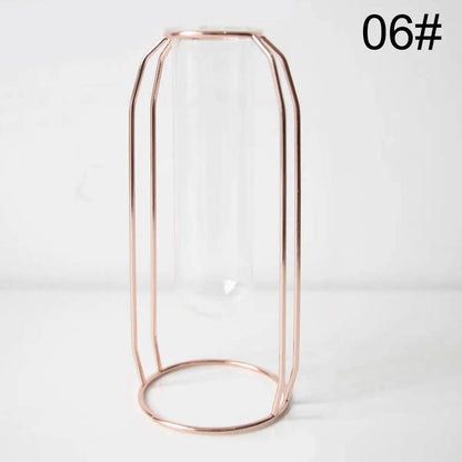 Nordic Creative Vase Home Decor Golden Glass Vase Hydroponic Plant Holder Iron Line Flowers Ornament Home Garden Decoration Hot