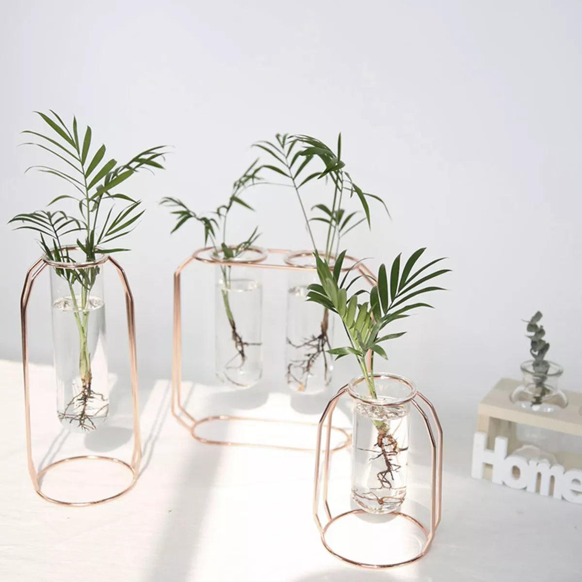 Nordic Creative Vase Home Decor Golden Glass Vase Hydroponic Plant Holder Iron Line Flowers Ornament Home Garden Decoration Hot