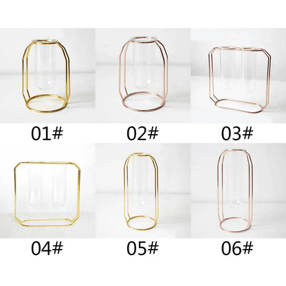 Nordic Creative Vase Home Decor Golden Glass Vase Hydroponic Plant Holder Iron Line Flowers Ornament Home Garden Decoration Hot